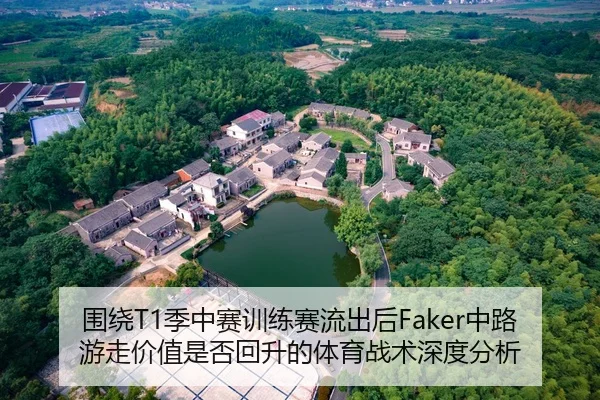 围绕T1季中赛训练赛流出后Faker中路游走价值是否回升的体育战术深度分析