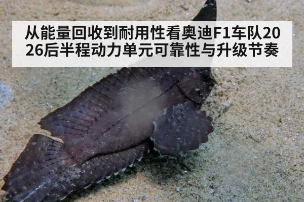 从能量回收到耐用性看奥迪F1车队2026后半程动力单元可靠性与升级节奏